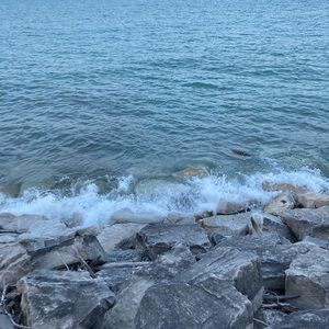 Meet your Posher, Thomas